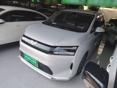 Wuling Starlight 730 New Energy Pure Electric 500km Luxury - ფოტო 1