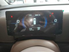 Wuling Starlight 730 New Energy Pure Electric 500km Luxury - ფოტო 11