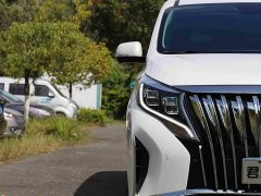 GAC Aion M8 Lingxiu Series 390T Luxury Edition - ფოტო 4