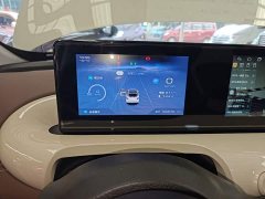 Wuling Binguo 333km Joy Edition - ფოტო 11