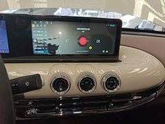 Wuling Binguo 333km Joy Edition - ფოტო 12