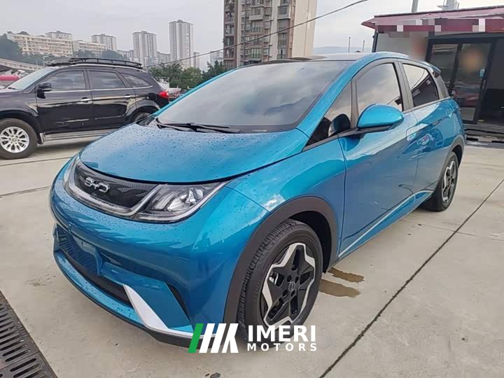 BYD Dolphin 405km Fashion Edition - ავტომობილი ჩინეთიდან