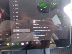 Tesla Model Y 2022 Facelift Rear-Wheel Drive - ფოტო 11