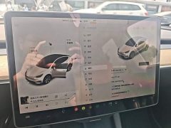 Tesla Model Y 2021 Standard Range RWD - ფოტო 11