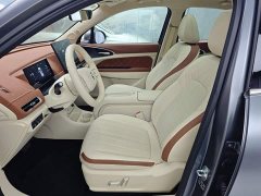 ORA Good Cat 430km Deluxe Edition - ფოტო 14