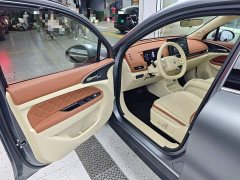 ORA Good Cat 430km Deluxe Edition - ფოტო 15