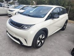 BYD Dolphin 2025 420km Freedom Edition - ფოტო 1