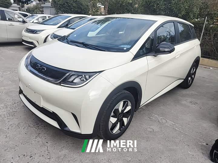 BYD Dolphin 420km Freedom Edition