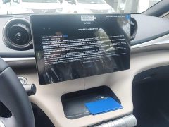 BYD Dolphin 2025 420km Freedom Edition - ფოტო 12