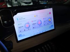 BYD Yuan Plus Glory Edition 430KM Leading - ფოტო 8