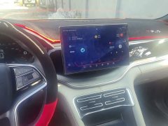 BYD Song Plus New Energy 2021 DM-i 110KM Flagship Plus - ფოტო 12