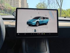 Tesla Model Y Rear-Wheel Drive - ფოტო 14