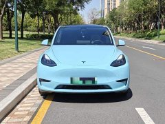 Tesla Model Y Rear-Wheel Drive - ფოტო 20