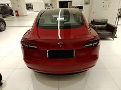 Tesla Model 3 Standard Range RWD Upgrade 3D6 - ფოტო 5