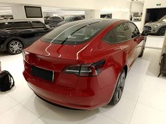 Tesla Model 3 Standard Range RWD Upgrade 3D6 - ფოტო 6