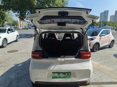 Wuling Hongguang MINIEV 2020 Deluxe Edition LFP Battery - ფოტო 18