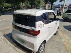 Wuling Hongguang MINIEV 2020 Deluxe Edition LFP Battery - ფოტო 6