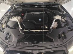 BMW 5 Series 525Li Luxury Package - ფოტო 19