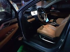 XPeng P5 550P - ფოტო 13