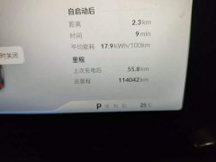 XPeng P5 550P - ფოტო 4