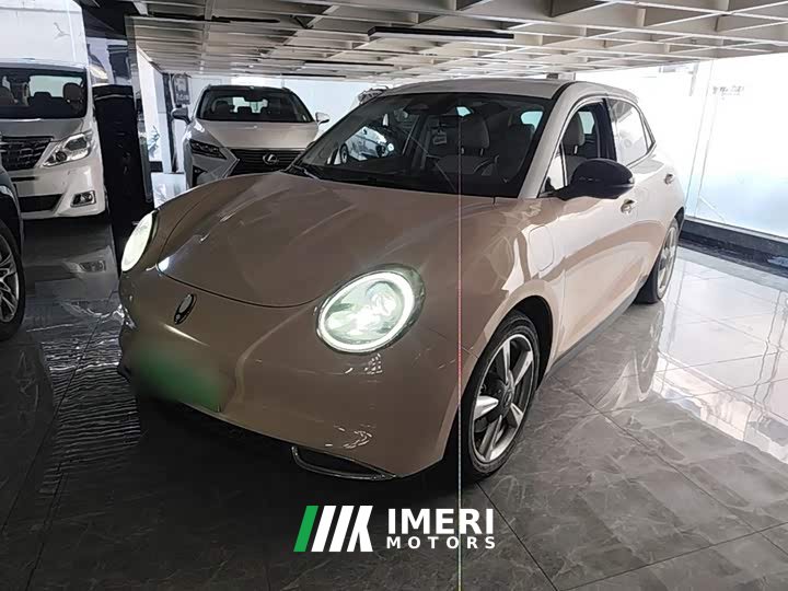 ORA Good Cat 400km Standard Range Venus Edition LFP Battery - ავტომობილი ჩინეთიდან