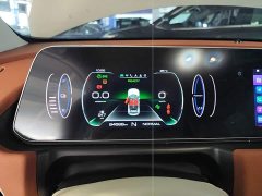 ORA Good Cat 400km Standard Range Venus Edition LFP Battery - ფოტო 11