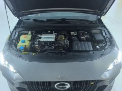Trumpchi Leopard 270T DCT J16 - ფოტო 19