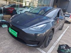 Tesla Model Y Rear-Wheel Drive - ფოტო 1