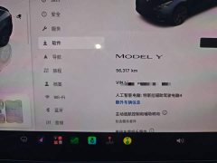 Tesla Model Y Rear-Wheel Drive - ფოტო 11