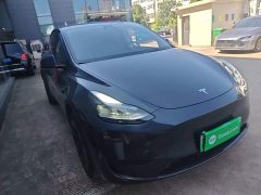 Tesla Model Y Rear-Wheel Drive - ფოტო 3