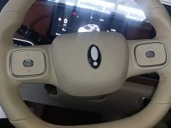 ORA Good Cat GT Mulan Edition 430km Prestige - ფოტო 10