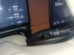 ORA Good Cat GT Mulan Edition 430km Prestige - ფოტო 13