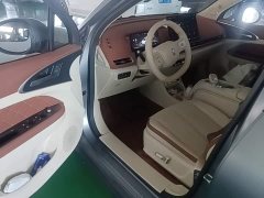 ORA Good Cat GT Mulan Edition 430km Prestige - ფოტო 15