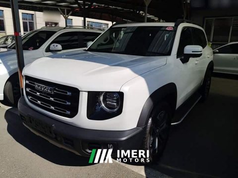 2023 Great Wall Dachshund 2022 1.5T DCT Two-Wheel Drive Border Collie Edition - ავტომობილი ჩინეთიდან