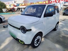 Geely Panda Mini 210km Vitality Edition - ფოტო 1