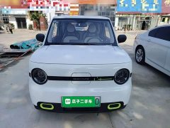 Geely Panda Mini 210km Vitality Edition - ფოტო 2