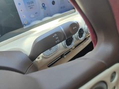 Wuling Binguo 2025 333km Joy Edition - ფოტო 13