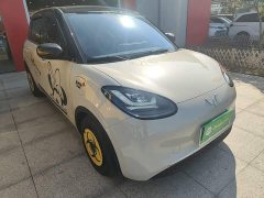 Wuling Binguo 2025 333km Joy Edition - ფოტო 3
