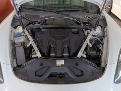 Porsche 2021 Panamera 2.9T - ფოტო 19