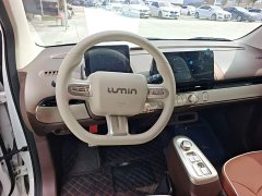 Changan Lumin Treasure Edition 205km Cool Love White CATL - ფოტო 10