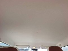 Changan Lumin Treasure Edition 205km Cool Love White CATL - ფოტო 17