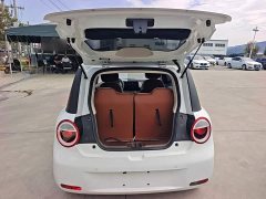 Changan Lumin Treasure Edition 205km Cool Love White CATL - ფოტო 18