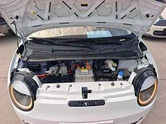 Changan Lumin Treasure Edition 205km Cool Love White CATL - ფოტო 19