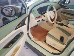 ORA Good Cat Morandi Edition 400km Standard Range Deluxe Type LFP Battery - ფოტო 15