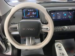 Changan Lumin Treasure Edition 205km Cool Love White CATL - ფოტო 10