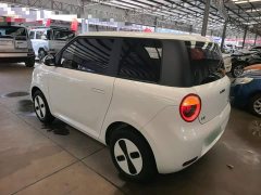 Changan Lumin Treasure Edition 205km Cool Love White CATL - ფოტო 4