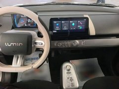 Changan Lumin Treasure Edition 205km Cool Love White CATL - ფოტო 9