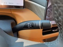 Great Wall WEY Shanshan New Energy 2025 Four-Wheel Drive Shanshan 8 - ფოტო 13