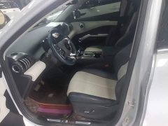 BYD Yuan Plus 430KM Premium Edition - ფოტო 14
