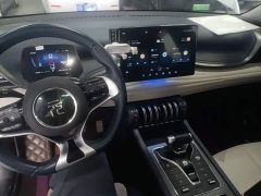 BYD Yuan Plus 430KM Premium Edition - ფოტო 9